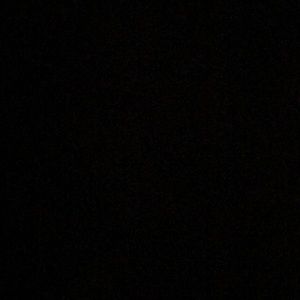 Meet your Posher, Riley